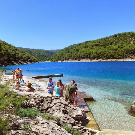 Gracin By Interhome Apartamento Povlja (Brac)